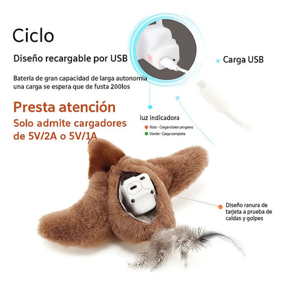 Pájaro Volador Para Gatos + Gratis Cepillo Para Mascotas